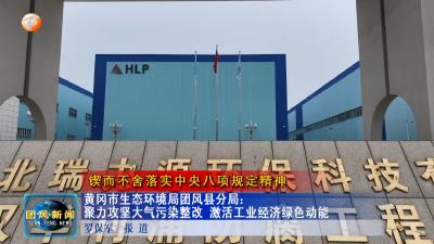 锲而不舍落实中央八项规定精神  黄冈市生态环境局团风县分局：聚力攻坚大气污染整改 激活工业经济绿色动能
