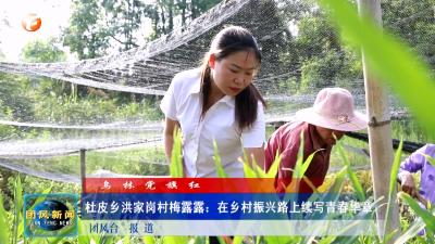 乌林党旗红 杜皮乡洪家岗村梅露露：在乡村振兴路上续写青春华章