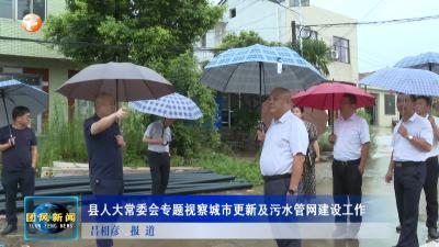县人大常委会专题视察城市更新及污水管网建设工作