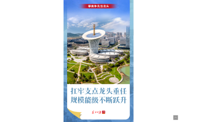 武汉，攀高争先当龙头