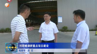 刘君峰调研重点项目建设