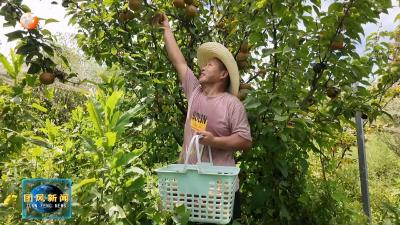 周金平：让荒山结出 “共富果”