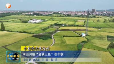 乡村振兴进行时  淋山河镇“金秋三色”喜丰收