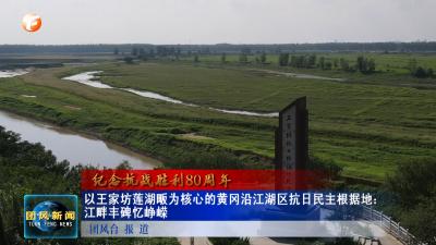 纪念抗战胜利80周年   以王家坊莲湖畈为核心的黄冈沿江湖区抗日民主根据地：江畔丰碑忆峥嵘