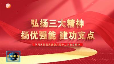 弘扬三大精神 扬优强能 建功支点  全县项目建设协调服务工作专题会召开