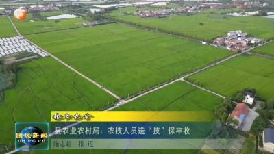 粮食安全  县农业农村局：农技人员送“技”保丰收