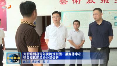 刘君峰到县青年黄梅戏剧团、融媒体中心、楚天视讯团风分公司调研