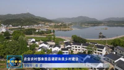 农业农村部来我县调研和美乡村建设