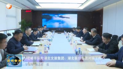 刘君峰率队赴湖北文旅集团、湖北联投集团对接工作