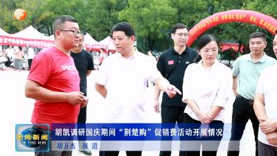 胡凯调研国庆期间“荆楚购”促销费活动开展情况