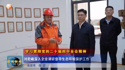 学习贯彻党的二十届四中全会精神 刘君峰深入企业调研督导生态环境保护工作