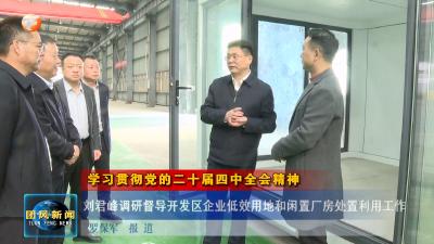 学习贯彻党的二十届四中全会精神  刘君峰调研督导开发区企业低效用地和闲置厂房处置利用工作