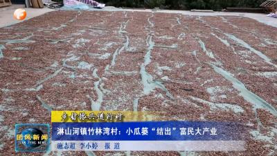 乡村振兴进行时  淋山河镇竹林湾村：小瓜篓“结出”富民大产业