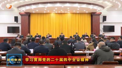 学习贯彻党的二十届四中全会精神  刘君峰主持召开全县项目建设推进会