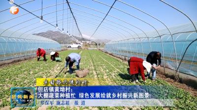 乡村振兴进行时  但店镇黄坳村：大棚蔬菜种植忙   绿色发展绘就乡村振兴新图景