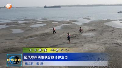 十年禁捕  共护长江  团风鄂州两地联合执法护生态