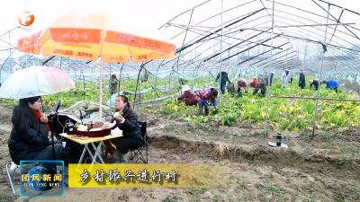 乡村振兴进行时  上巴河镇凤凰琴村：小萝卜撬动大发展 绘就和美乡村新图景