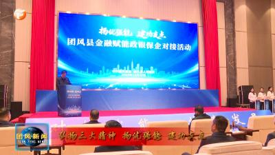 弘扬三大精神 扬优强能 建功支点   我县举行金融赋能“扬优强能·建功支点”政银保企对接活动