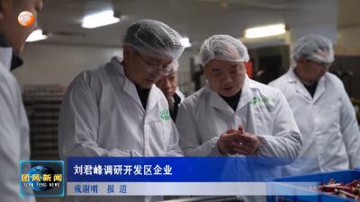 刘君峰调研开发区企业