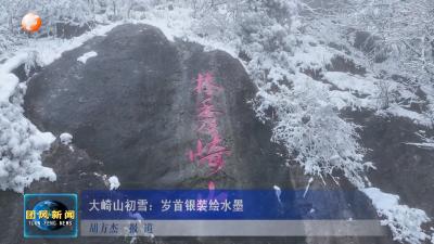 大崎山初雪：岁首银装绘水墨