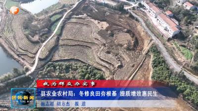 我为群众办实事  县农业农村局：冬修良田夯根基 提质增效惠民生