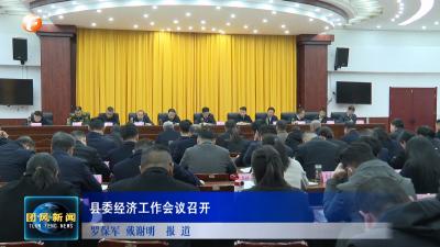 县委经济工作会议召开