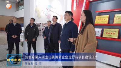 刘君峰深入回龙山镇调研企业运行与项目建设工作