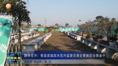 静待花开：我县首届苗木花卉盆景交易会暨展览会筹备中