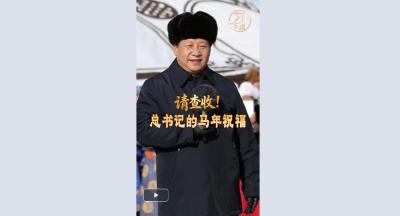 【热气腾腾中国年】习言道｜请查收！总书记的马年祝福