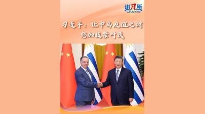 【讲习所·中国与世界】习近平：让中乌友谊之树愈加枝繁叶茂