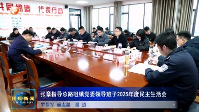 张章指导总路咀镇党委领导班子2025年度民主生活会