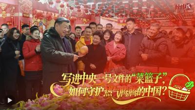 经纬线·写进中央一号文件的“菜篮子”，如何守护热气腾腾的中国？