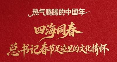 看图学习·热气腾腾的中国年丨四海同春 总书记春节足迹里的文化情怀