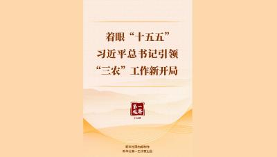 第一观察｜着眼“十五五”，习近平总书记引领“三农”工作新开局