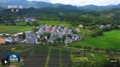 情满中国年丨绘就宜居宜业和美乡村新画卷