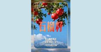 习近平的两会之喻｜像石榴籽那样紧紧抱在一起