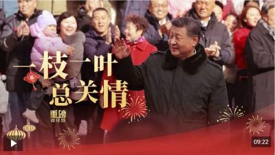 重磅微视频丨一枝一叶总关情