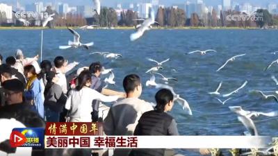 【情满中国年】美丽中国 幸福生活