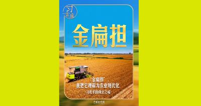 习近平的两会之喻｜“金扁担”，我把它理解为农业现代化