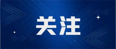 龙灯起舞年味浓 非遗潮玩不重样！黄石这场新春文化盛宴太出圈