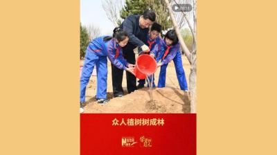 学而时习之｜众人植树树成林