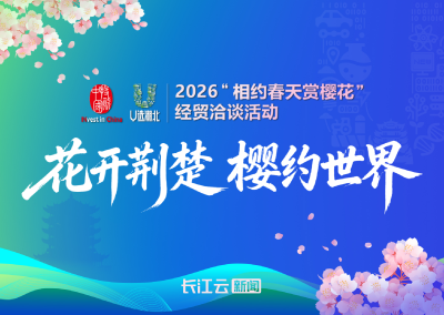 花开荆楚 樱约世界｜长江之畔，一场“双向奔赴”的春日之约