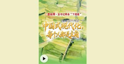 壹视界·总书记两会“下团组”丨中国式现代化，每个人都是主角