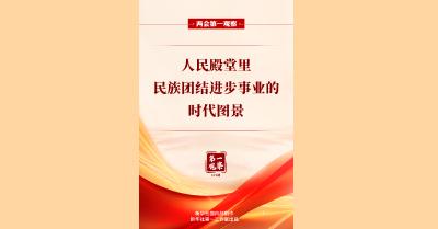 两会第一观察 | 人民殿堂里，民族团结进步事业的时代图景