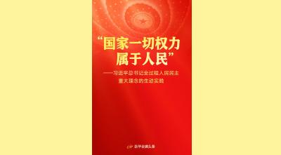 习近平总书记全过程人民民主重大理念的生动实践