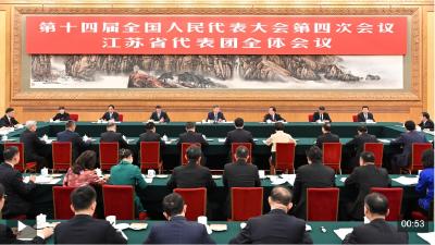 独家视频丨习近平参加江苏代表团审议