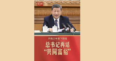 此行间·开局之年首下团组，总书记再话“共同富裕”