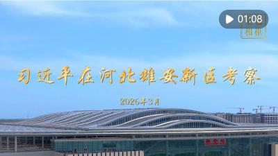 金色相框丨习近平在河北雄安新区考察