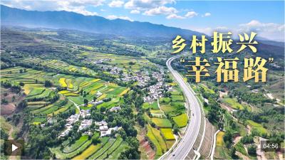 总书记的关心事丨乡村振兴“幸福路”