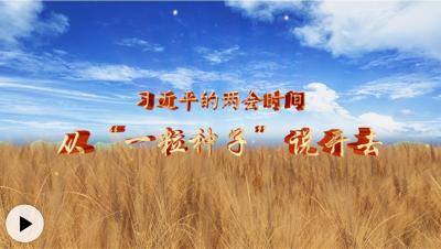 习近平的两会时间丨从“一粒种子”说开去